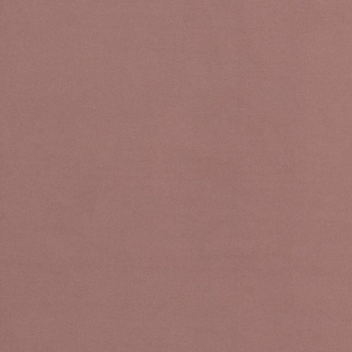 Charlotte - D2102 - Petal - Fabric by the Yard Petal