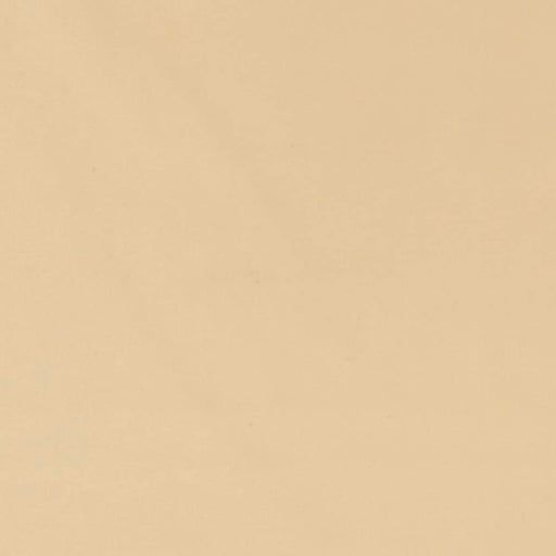 Charlotte - D2113 - Natural - Fabric by the Yard Natural