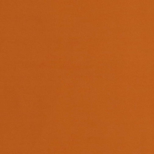 Charlotte - D2118 - Apricot - Fabric by the Yard Apricot