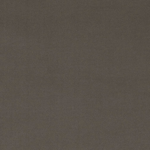 Charlotte - D2121 - Pewter - Fabric by the Yard Pewter