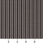 Charlotte - D2130 - Charcoal Stripe - Fabric by the Yard - D2130 - D2130_Ruler
