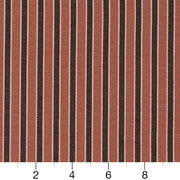 Charlotte - D2131 - Salmon Stripe - Fabric by the Yard - D2131 - D2131_Ruler
