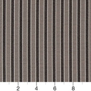 Charlotte - D2135 - Pewter Stripe - Fabric by the Yard - D2135 - D2135_Ruler