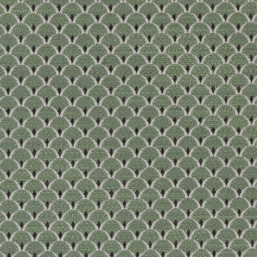 Charlotte - D2146 - Spring Scales - Fabric by the Yard Spring Scales