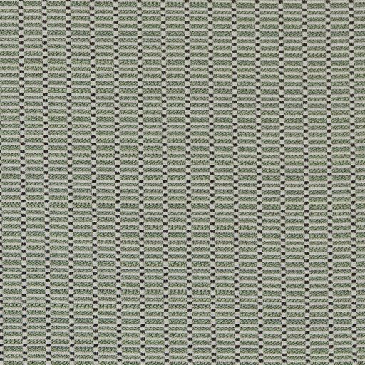 Charlotte - D2166 - Spring Stack - Fabric by the Yard Spring Stack