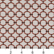 Charlotte - D2171 - Salmon Lattice - Fabric by the Yard - D2171 - D2171_Ruler