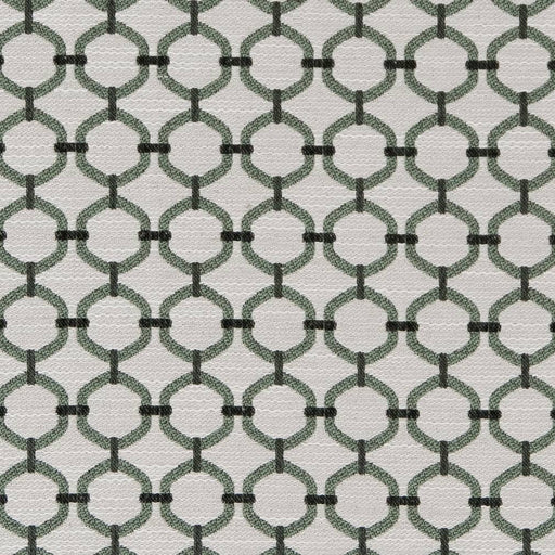 Charlotte - D2176 - Spring Lattice - Fabric by the Yard Spring Lattice