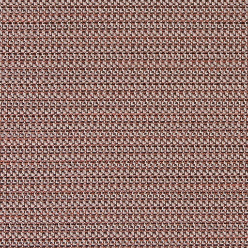 Charlotte - D2181 - Salmon Texture - Fabric by the Yard Salmon Texture