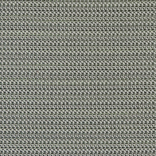 Charlotte - D2186 - Spring Texture - Fabric by the Yard Spring Texture