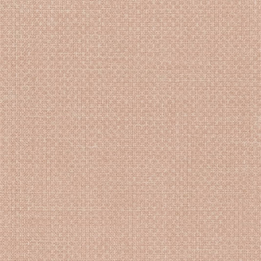 Charlotte - D2191 - Blush - Fabric by the Yard Blush