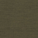 Charlotte - D2193 - Basil - Fabric by the Yard