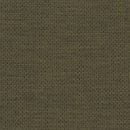Charlotte - D2193 - Basil - Fabric by the Yard Basil