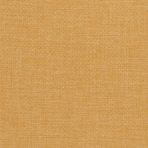 Charlotte - D2195 - Honey - Fabric by the Yard Honey