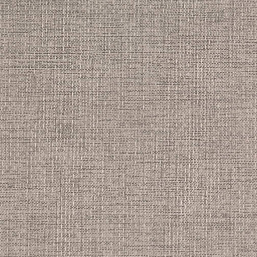 Charlotte - D2200 - Cement - Fabric by the Yard Cement