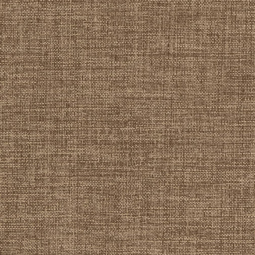 Charlotte - D2203 - Latte - Fabric by the Yard Latte