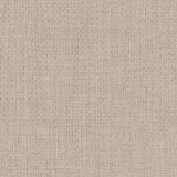 Charlotte - D2205 - Cloud - Fabric by the Yard