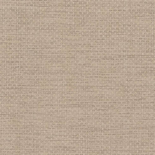 Charlotte - D2212 - Dove - Fabric by the Yard Dove