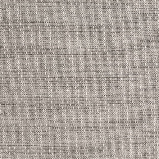 Charlotte - D2214 - Fossil - Fabric by the Yard Fossil