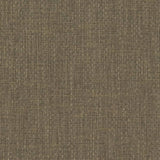 Charlotte - D2219 - Sage - Fabric by the Yard