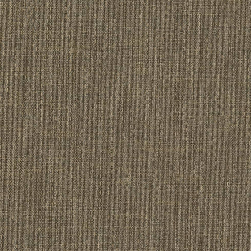 Charlotte - D2219 - Sage - Fabric by the Yard Sage
