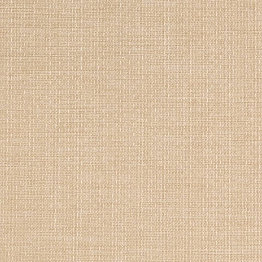 Charlotte - D2223 - Vanilla - Fabric by the Yard Vanilla