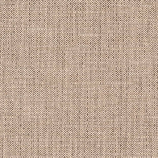 Charlotte - D2225 - Zinc - Fabric by the Yard Zinc