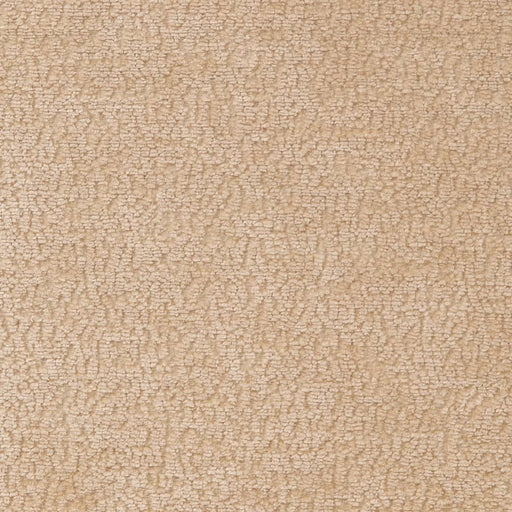 Charlotte - D2230 - Ecru - Fabric by the Yard Ecru