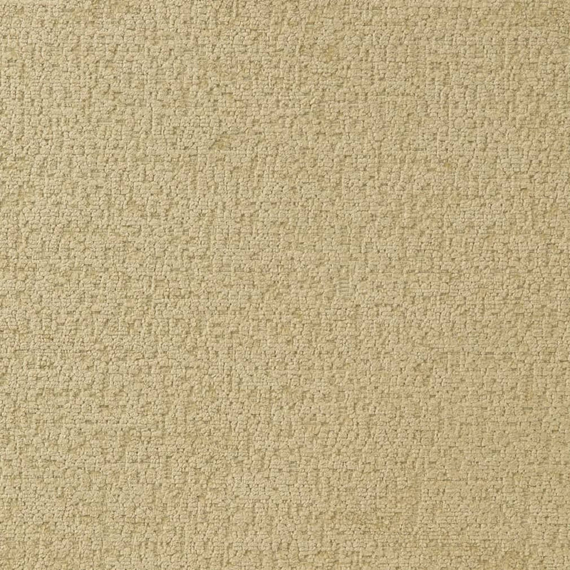 Charlotte - D2231 - Celery - Fabric by the Yard Celery