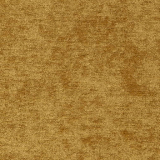 Charlotte - D2257 - Golden - Fabric by the Yard Golden