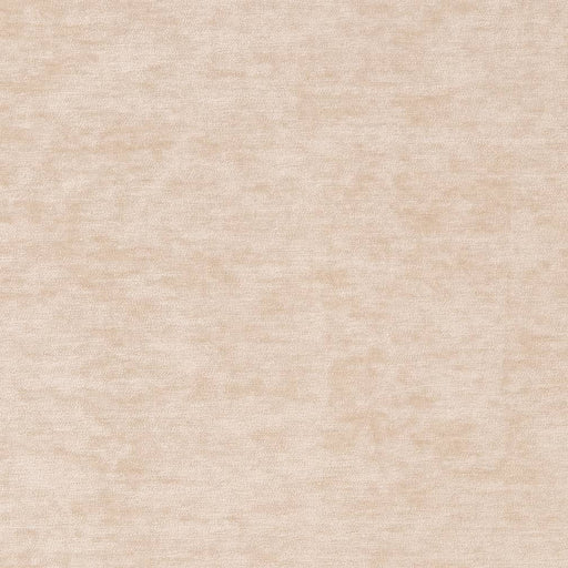 Charlotte - D2263 - Bone - Fabric by the Yard Bone