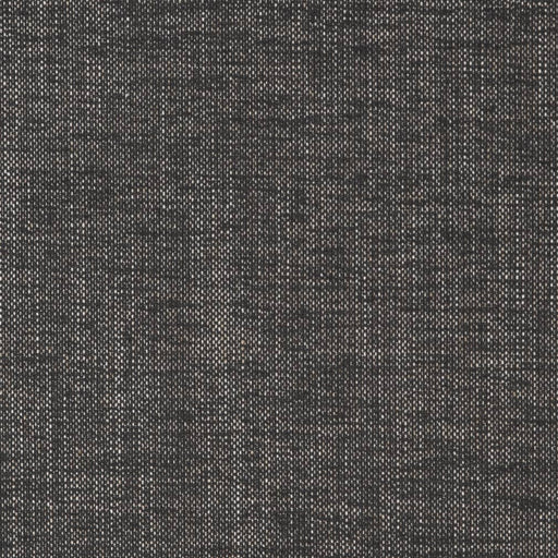 Charlotte - D2270 - Charcoal - Fabric by the Yard Charcoal