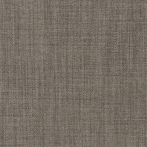 Charlotte - D2300 - Metal - Fabric by the Yard Metal