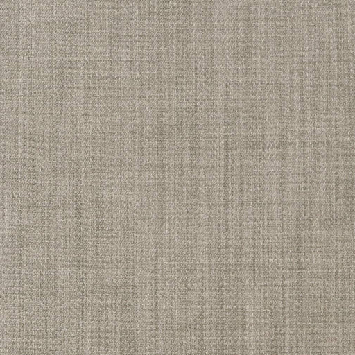 Charlotte - D2302 - Ash - Fabric by the Yard Ash