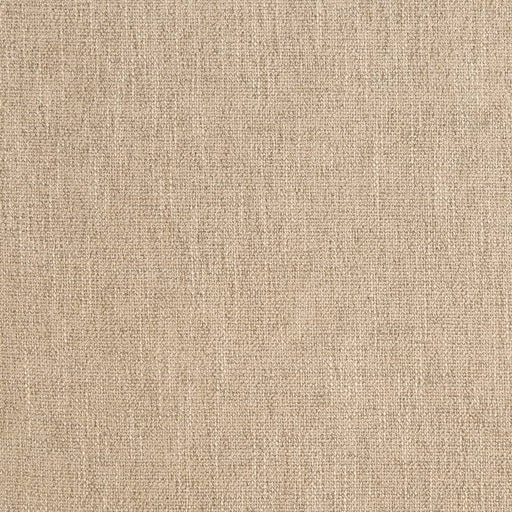 Charlotte - D2307 - Dove - Fabric by the Yard Dove