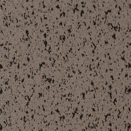 Charlotte - D2324 - Mica - Fabric by the Yard Mica