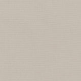 Charlotte - D2348 - Silver - Fabric by the Yard