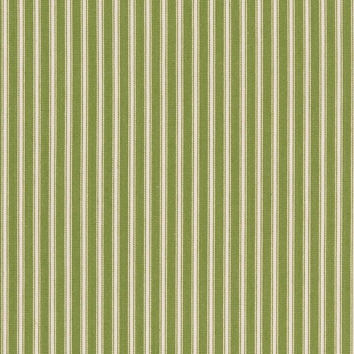 Charlotte - D2361 - Kiwi - Fabric by the Yard Kiwi