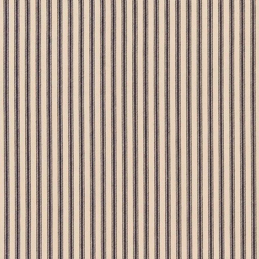 Charlotte - D2377 - Oxford - Fabric by the Yard Oxford
