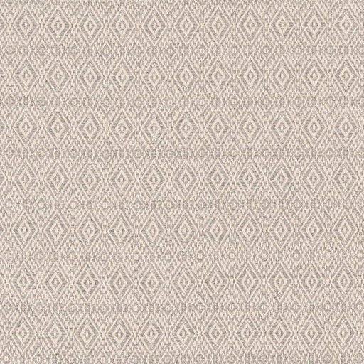 Charlotte - D2409 - Aluminum - Fabric by the Yard Aluminum