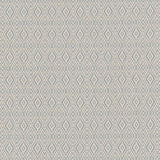 Charlotte - D2414 - Rain - Fabric by the Yard