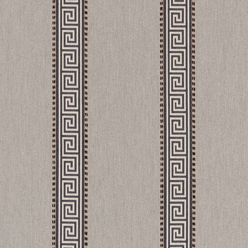 Charlotte - D2424 - Graphite - Fabric by the Yard Graphite