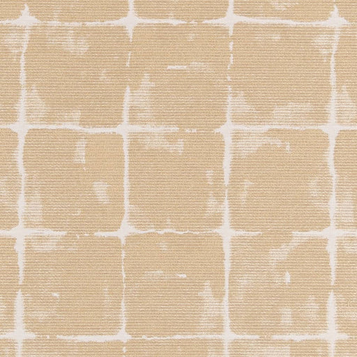 Charlotte - D2437 - Sand Dollar - Fabric by the Yard Sand Dollar