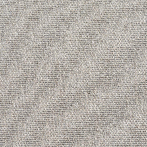 Charlotte - D243 - Fog - Fabric by the Yard Fog