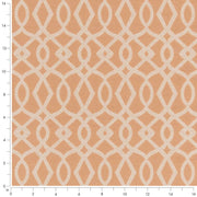 Charlotte - D2442 - Peach - Fabric by the Yard - D2442 - D2442_Ruler