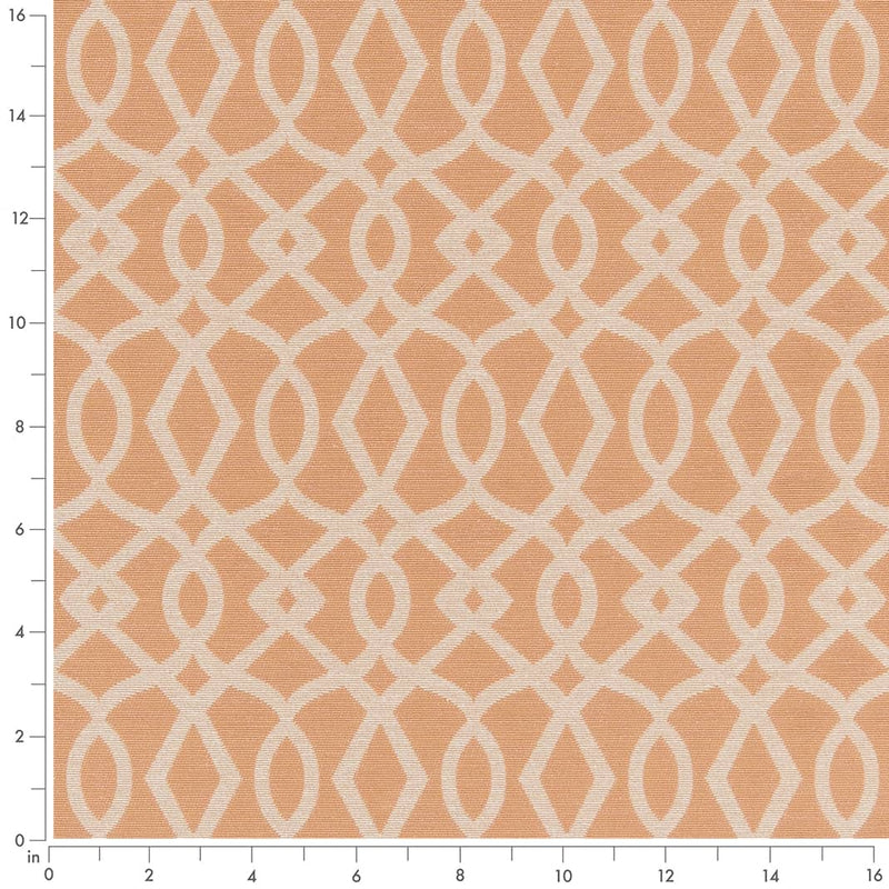 Charlotte - D2442 - Peach - Fabric by the Yard - D2442 - D2442_Ruler