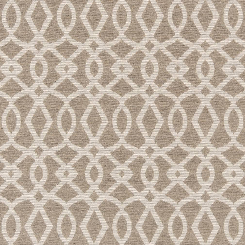 Charlotte - D2443 - Dove - Fabric by the Yard Dove