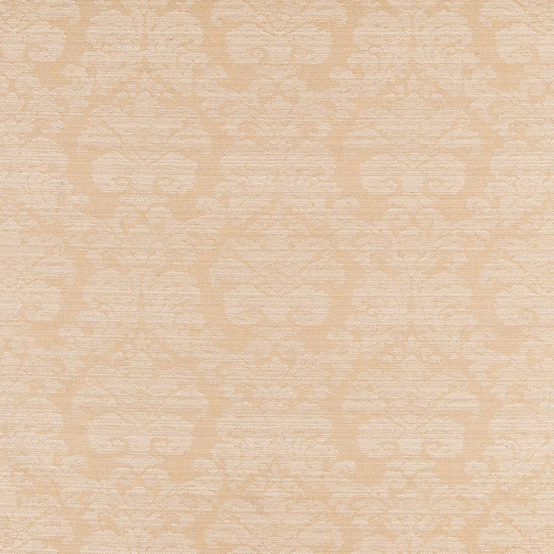 Charlotte - D2447 - Beige - Fabric by the Yard Beige