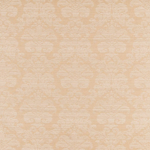 Charlotte - D2447 - Beige - Fabric by the Yard Beige
