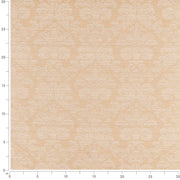 Charlotte - D2447 - Beige - Fabric by the Yard - D2447 - D2447_Ruler