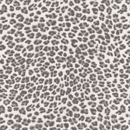 Charlotte - D2456 - Flint - Fabric by the Yard Flint